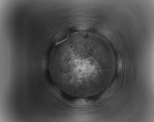 X0000088840227200706141544