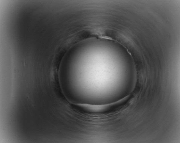 X0000088840229200706141544