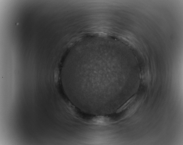 X0000088840231200706141544