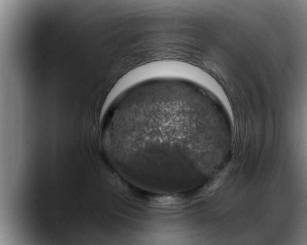 X0000088840237200706141544