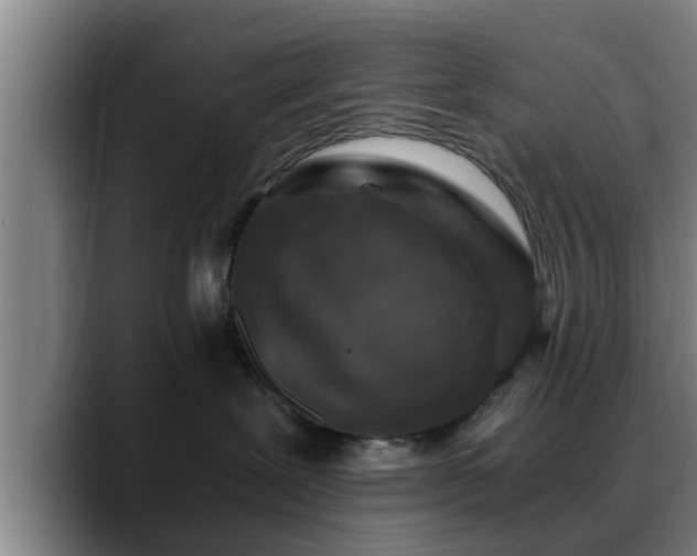 X0000088840239200706141544