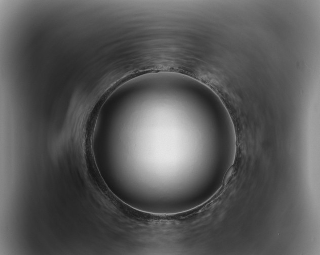 X0000088840242200706141543