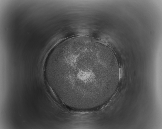 X0000088840243200706141544