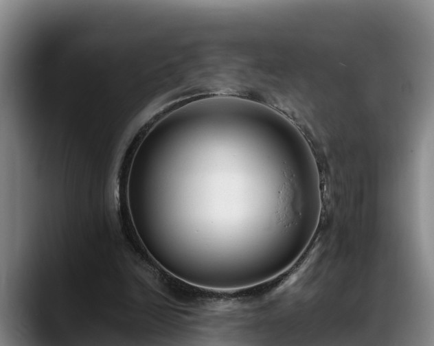 X0000088840246200706141544