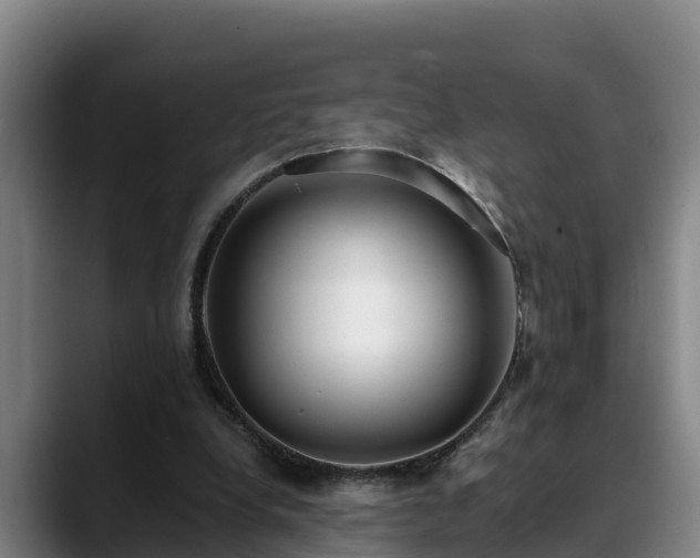 X0000088840248200706141544