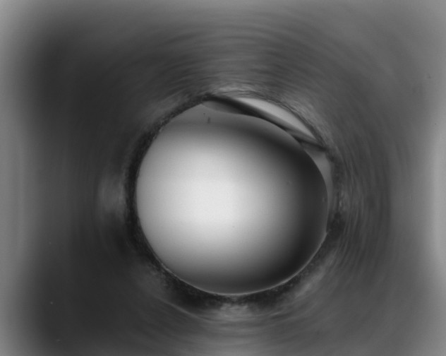 X0000088840256200706141544