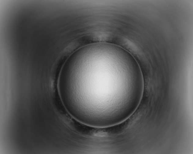 X0000088840258200706141544