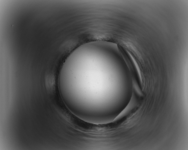 X0000088840260200706141544