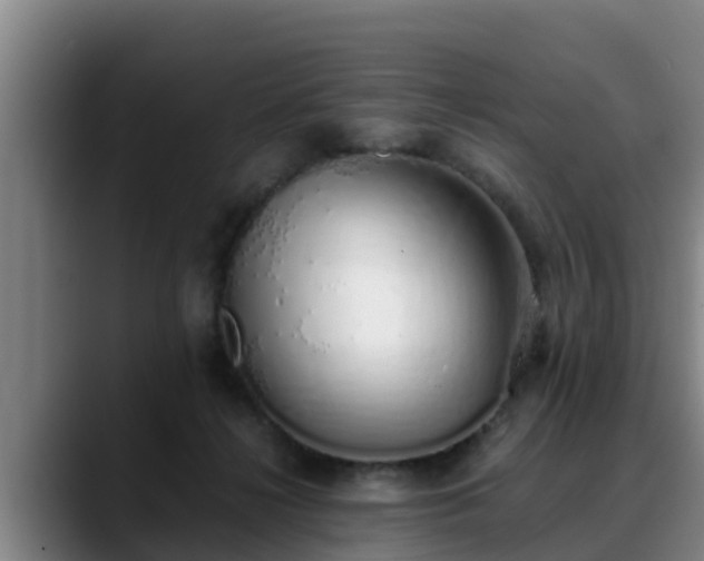 X0000088840268200706141544