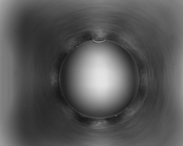 X0000088840274200706141544