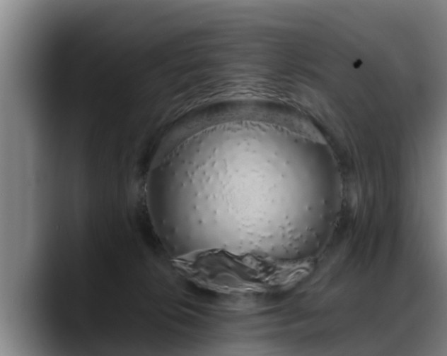 X0000088840276200706141544