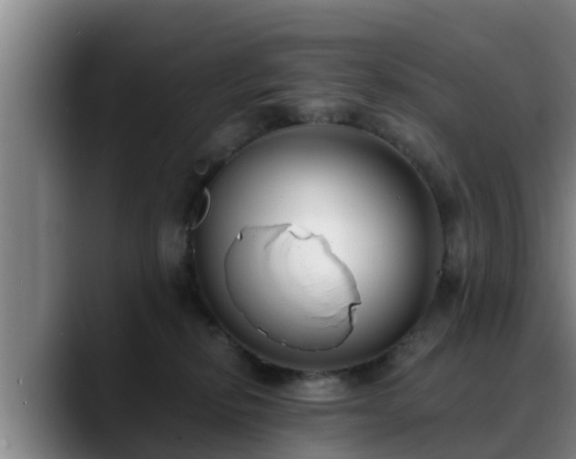 X0000088840278200706141544