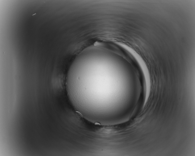 X0000088840280200706141544