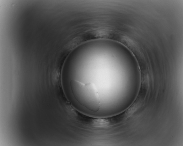 X0000088840281200706141544