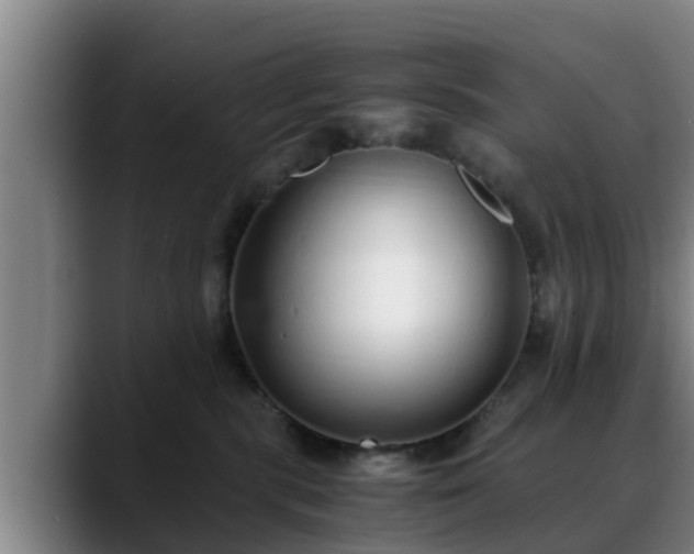 X0000088840283200706141544