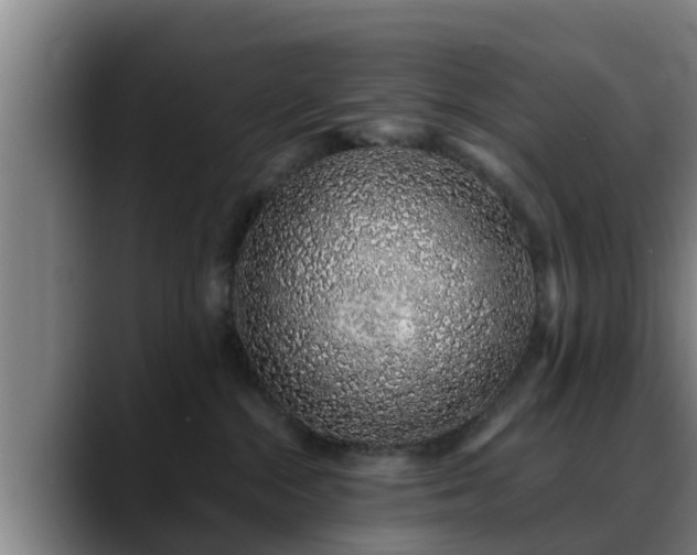 X0000088840284200706141544