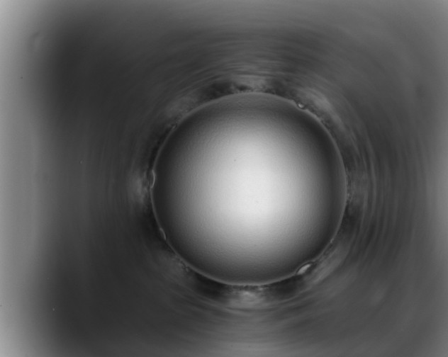 X0000088840285200706141544