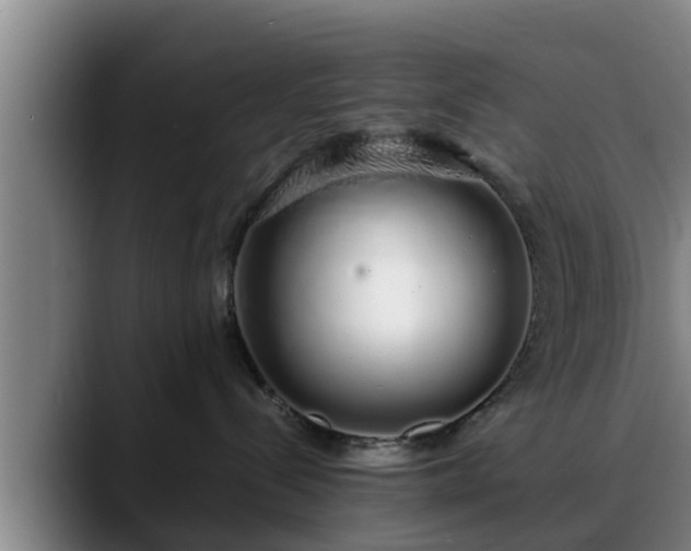 X0000088840288200706141544