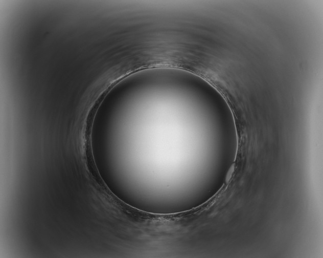 X0000088840290200706141543