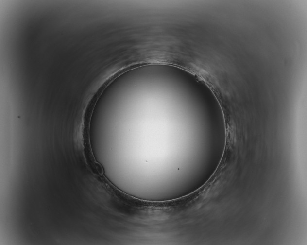 X0000088840292200706141543