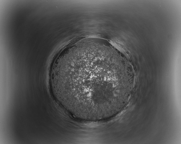 X0000088840293200706141543