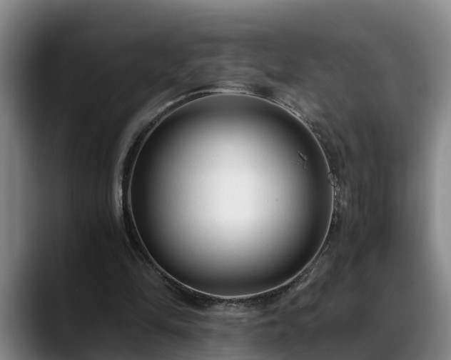 X0000088840294200706141543