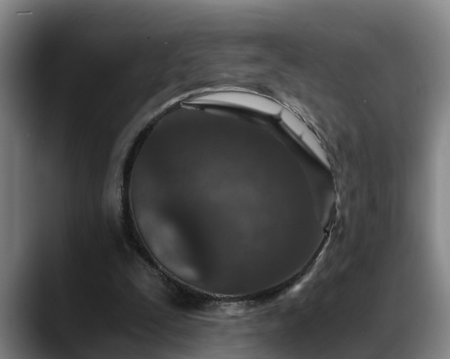 X0000088840295200706141543