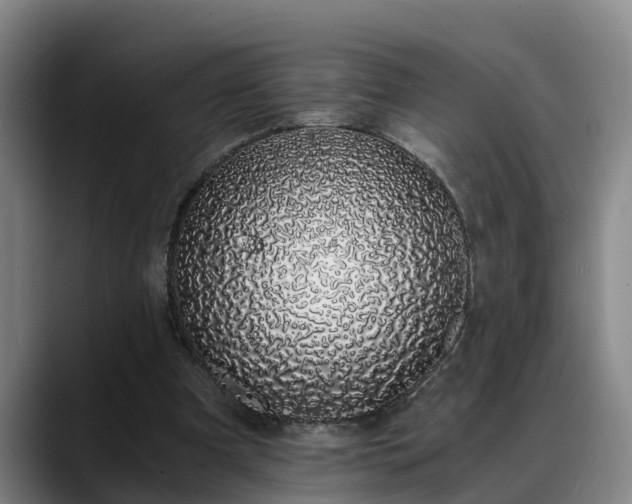 X0000088840297200706141543