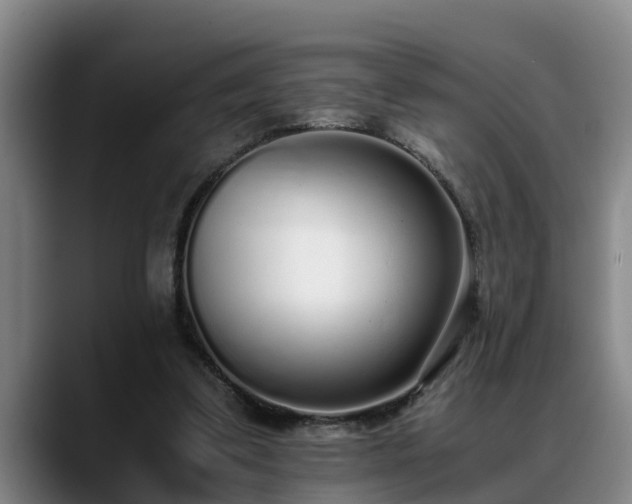 X0000088840299200706141543