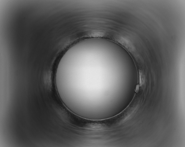 X0000088840300200706141543