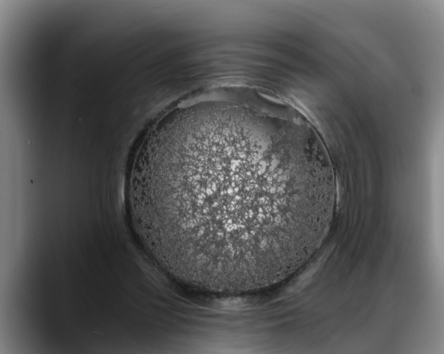 X0000088840301200706141543