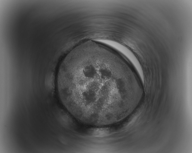 X0000088840303200706141543