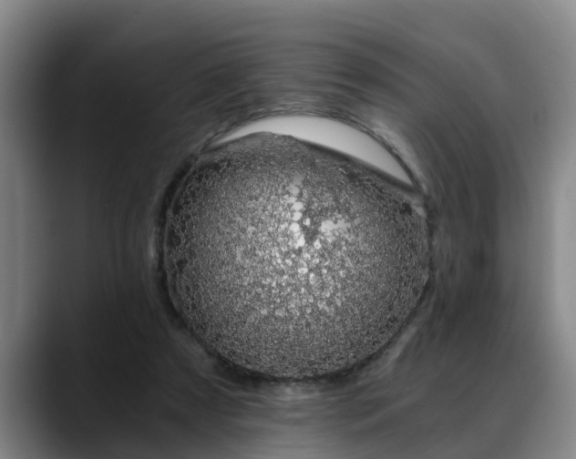 X0000088840305200706141543