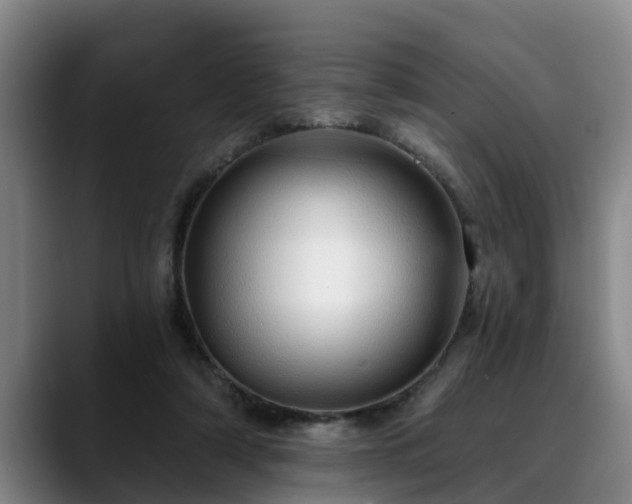 X0000088840306200706141543