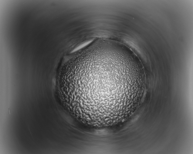 X0000088840309200706141543