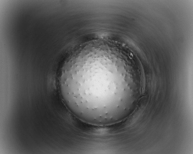 X0000088840313200706141543