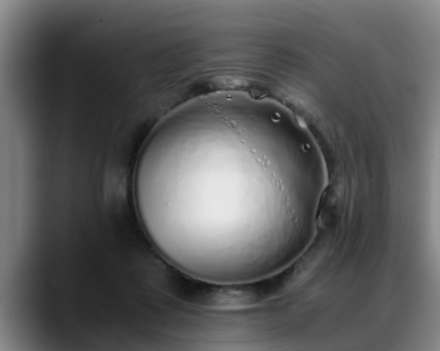 X0000088840315200706141543