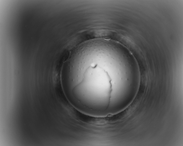 X0000088840327200706141543