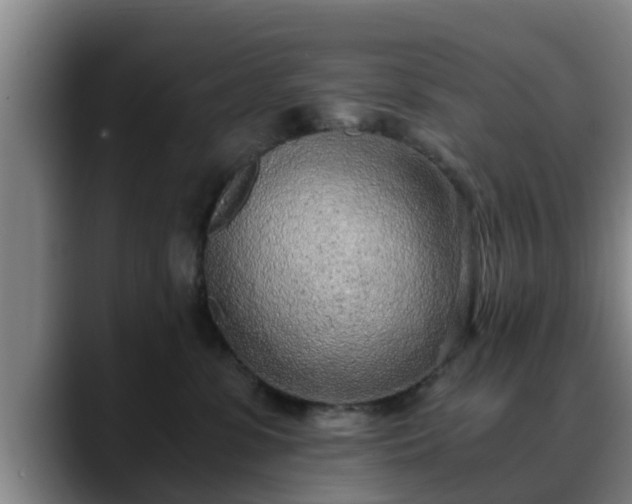 X0000088840331200706141543