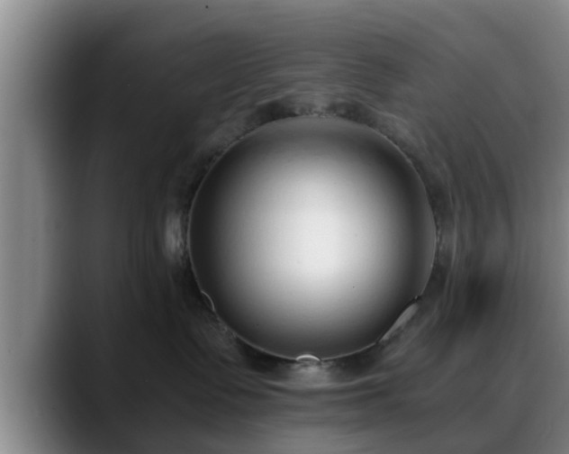 X0000088840335200706141543