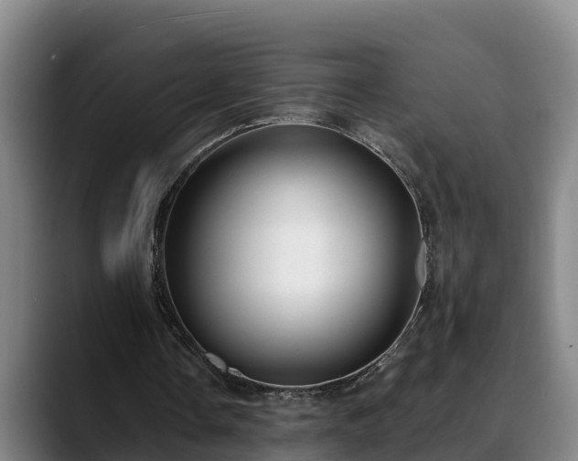 X0000088840338200706141542