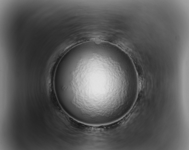 X0000088840339200706141542