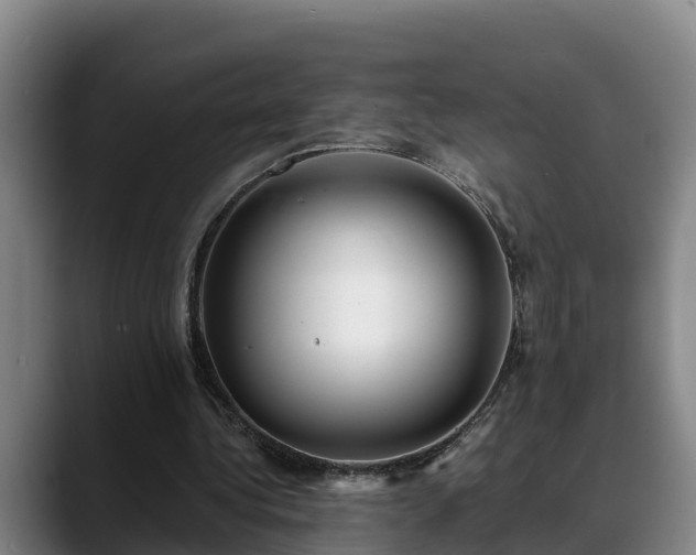 X0000088840340200706141542