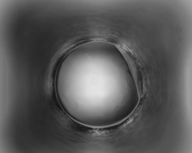 X0000088840343200706141542