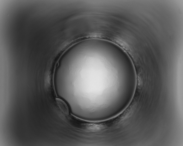 X0000088840347200706141542