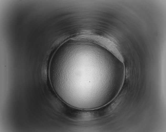 X0000088840349200706141543