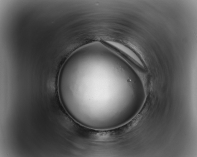 X0000088840353200706141543