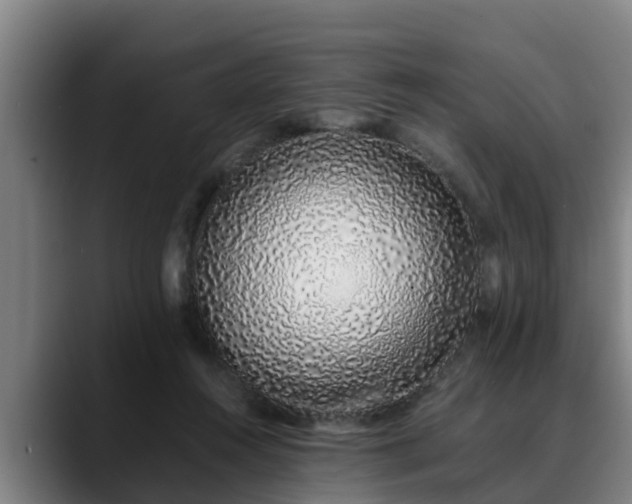 X0000088840360200706141543