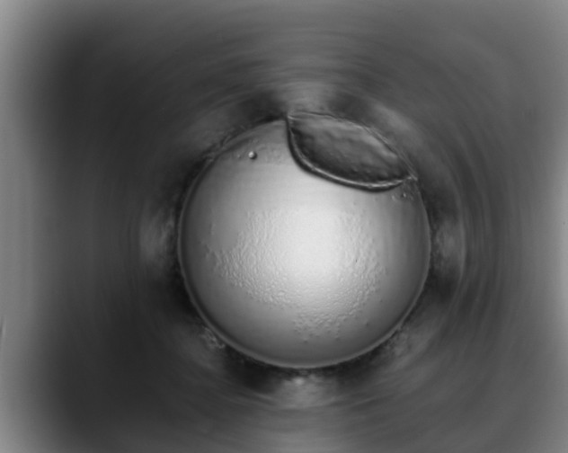 X0000088840364200706141543