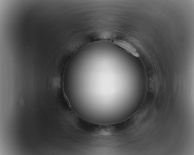 X0000088840368200706141543